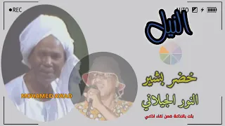 النيل خضر بشير والنور الجيلاني 