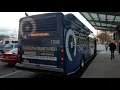Pace Eldorado National Axess BRT CNG Bus on The