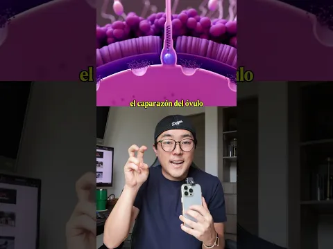 El momento que comienza la Vida