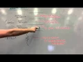 Adrenal Gland Review Hormones and Structure