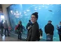 THIS PLACE IS AWESOME Kitty Plays