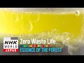 Download Lagu Essence of the Forest - Zero Waste Life