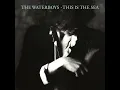 The Whole of the Moon (2004 Remaster) - The Waterboys