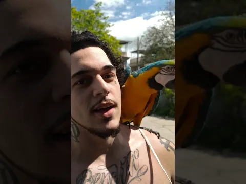Clipe novo daqui 4 dias prepara ✌️