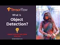 Simple Object Detection in Python using TensorFlow Bounding Box Regression OpenCV