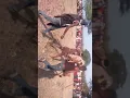 Download Lagu MGOTE MDOGO na AWILO MCONGOMANI WA KINYAMWEZI ZIBA