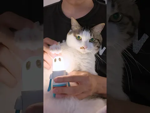 딸깍 딸깍