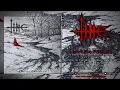 Download Lagu TINE (USA) - A Winter Horrorscape (OFFICIAL FULL ALBUM)