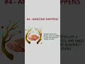 Download Lagu curious about the UMAi process? we have answers!