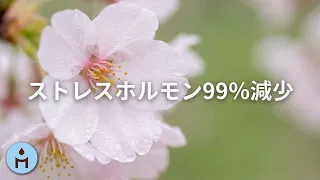 【ストレスホルモン99％減少】聴くだけで心の平安が訪れる癒しの音楽 ▶ 不安な心が落ち着く音楽