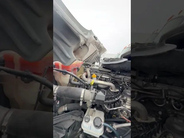 View Video