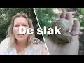 Download Lagu De Slak