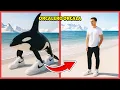 Download Lagu 🦈👟 ADIVINA LOS MEMES BRAINROT COMO HUMANOS 👨🍊 | Desafío de Voz | Orcalero Orcala | 2TB Quiz