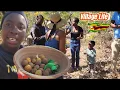 Download Lagu Looking For Mazhanje In The Village. African Village Life Wild Fruits 🇿🇼