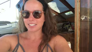 Real-time Update! And announcement – Live stream @4