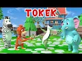 Lagu Tokek - Lagu Anak Indonesia Balita terbaru