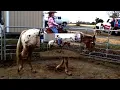 "Cowgirls Don't Cry (feat. Reba McEntire)" Fan Video