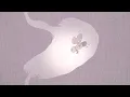 I Know an Old Lady Who Swallowed A Fly | Sockz Studio | Shadow Puppets
