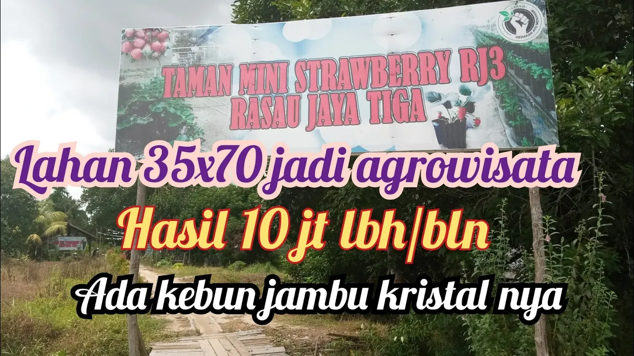 
          
          
          
            
            Hasil puluhan juta. Agrowisata cuma 35x70 m ada jambu kristal nya.
          
        . 