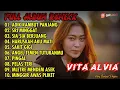 Download Lagu ADIK RAMBUT PANJANG - VITA ALVIA FULL ALBUM TERBARU REMIXX 2022