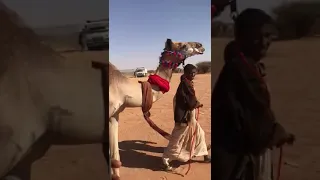 ام شديده المركز الأول في الخرطوم 