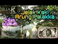 Download Lagu JEJAK KAKI ARUNG PALAKKA