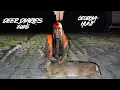 SOUTH GEORGIA PRE RUT DEER DIARIES 25