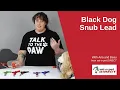 Black Dog Snub Lead
