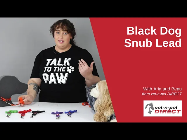 Black Dog Wear Lead - Snub Lead