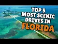 Top 5 Most Scenic Drives in Florida You ve Gotta Do at Least Once