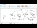 Touch Command in Linux advance course