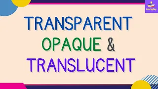 Transparent Opaque Translucent Objects Examples 