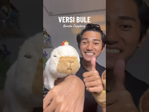 Boneka Capybara Bule #mainan