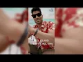 Hardaddy Hawaiian shirts collection