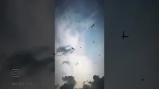  ام خ لقو من غير شيء أم هم الخالقون  دندنها