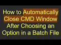 How to Automatically Close CMD Window After Choosing an Option in a Batch File