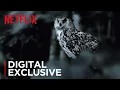 The Staircase The Owl Theory Netflix