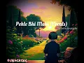 Download Lagu Pehle Bhi Main (vocals)  | Vishal Mishra | Animal movie
