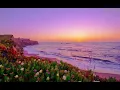 VISCERAL - JOSÉ JR | Fundo musical para devocional