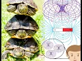 Hidden Meaning to Turtles all the Way Down
