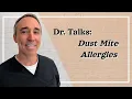 Dust Mite Allergy What To Do
