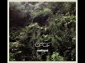 CFCF - Half Dreaming Reprise