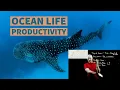 Ocean Productivity Simplified