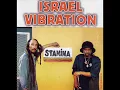 Israel Vibration - Lion In The Jungle - (Stamina)