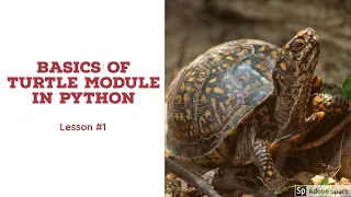 Python Turtle Module for Absolute Beginners Lesson