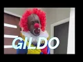 Download Lagu GILDO THE CLOWN