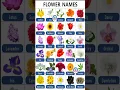 Lagu Most Important Words For Daily Use||30 Flowers Name In English||Flowers Name #grammar #flowers