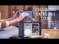 Chasing Tails Pet Urn - Remember and Honor Your Dog the Right Way