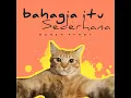 Bahagia Itu Sederhana (Remix)