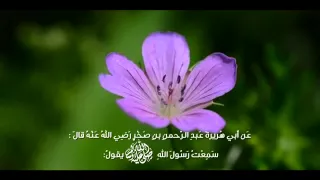 الأربعون النووية الحديث التاسع 